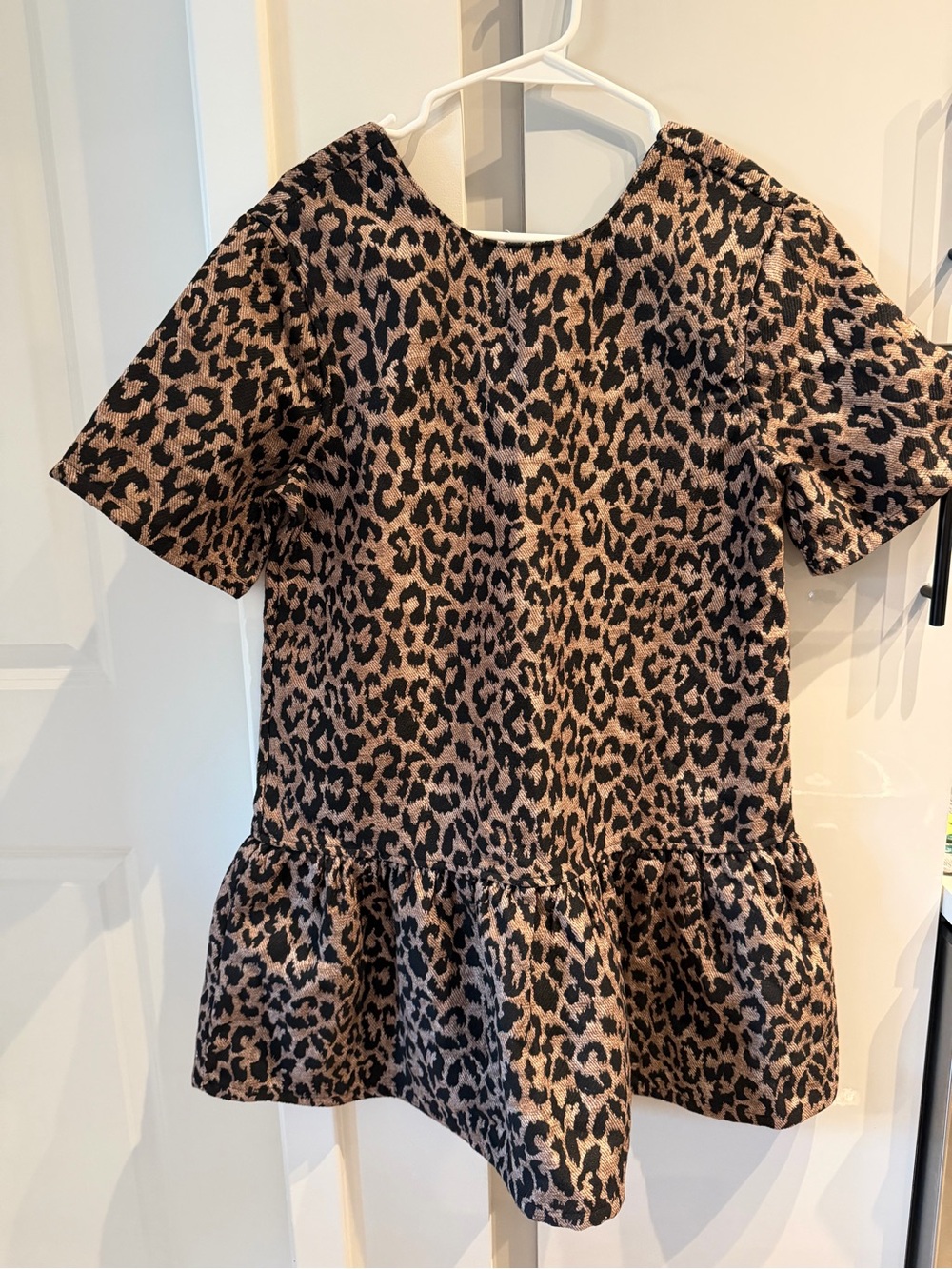 Vici Leopard Print Drop Waist Mini Dress